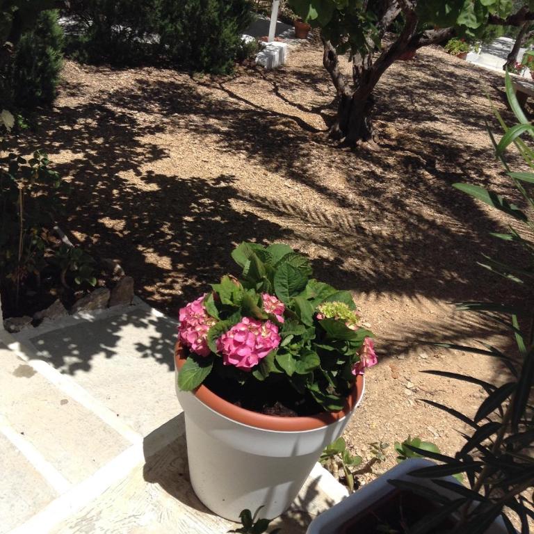 Residence Guidaloca - Appartamento con 2 Camere da Letto - 40