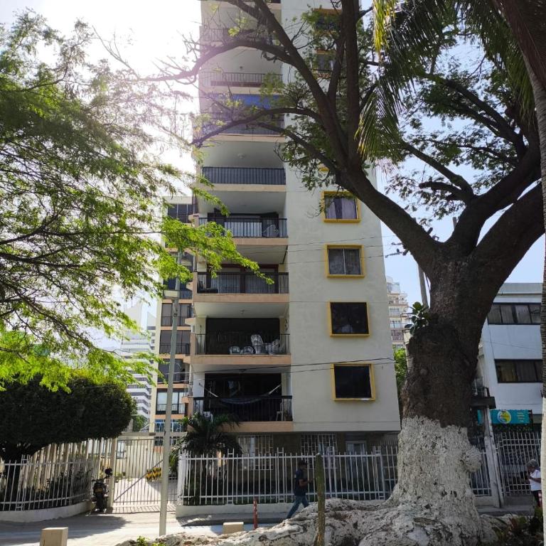 edificio playa 10d - One-Bedroom Apartment - 15