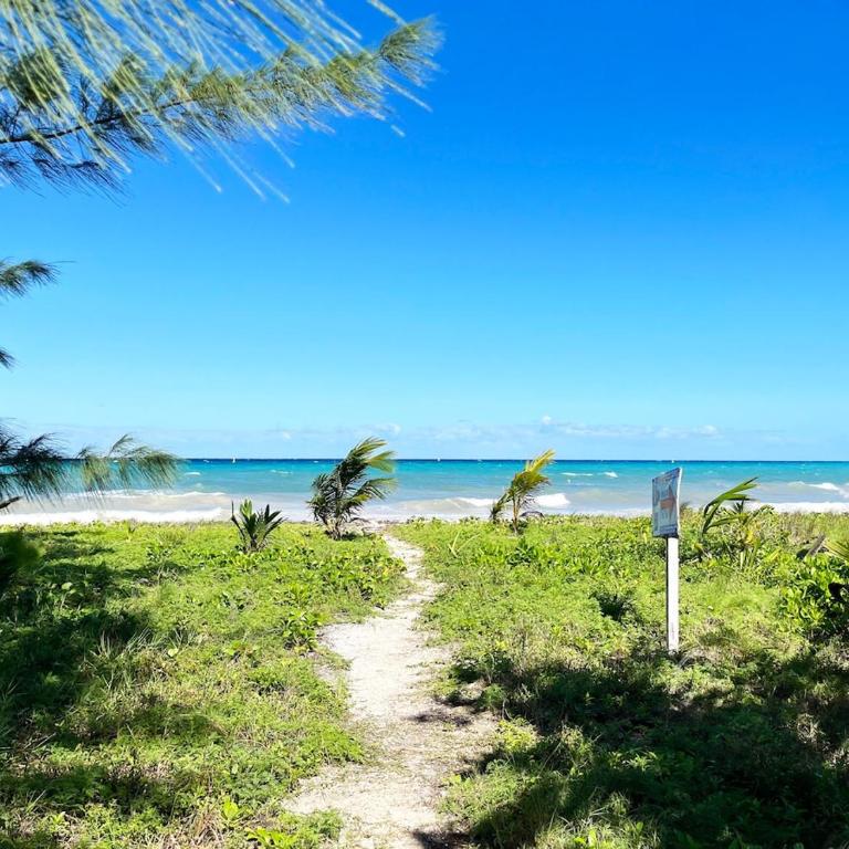 Beachside Tranquility Condo - Apartamento de 1 dormitorio - 17
