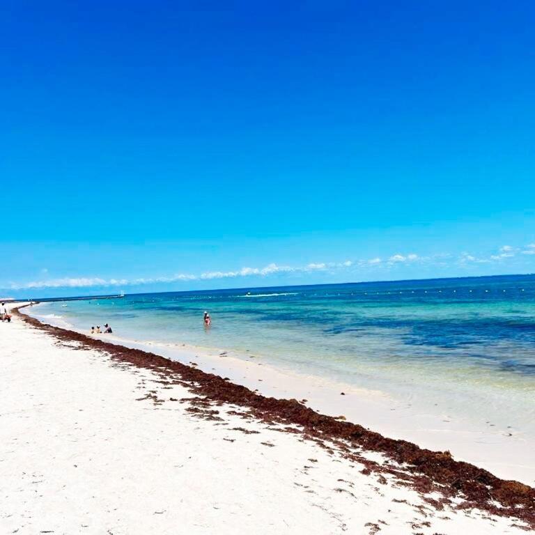 Beachside Tranquility Condo - Apartamento de 1 dormitorio - 23