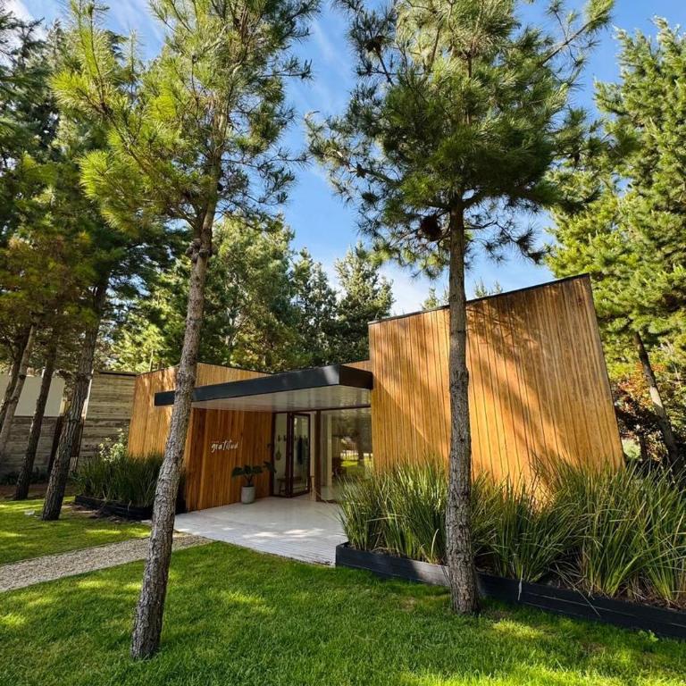 Casa Gratitud , Costa Esmeralda Luxuryhousescosta - Casa - 18