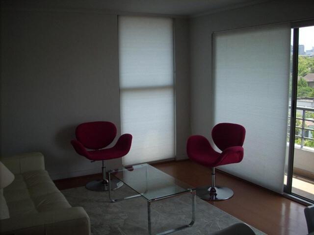 Amoblado de Lujo en Providencia - Two-Bedroom Apartment - 15
