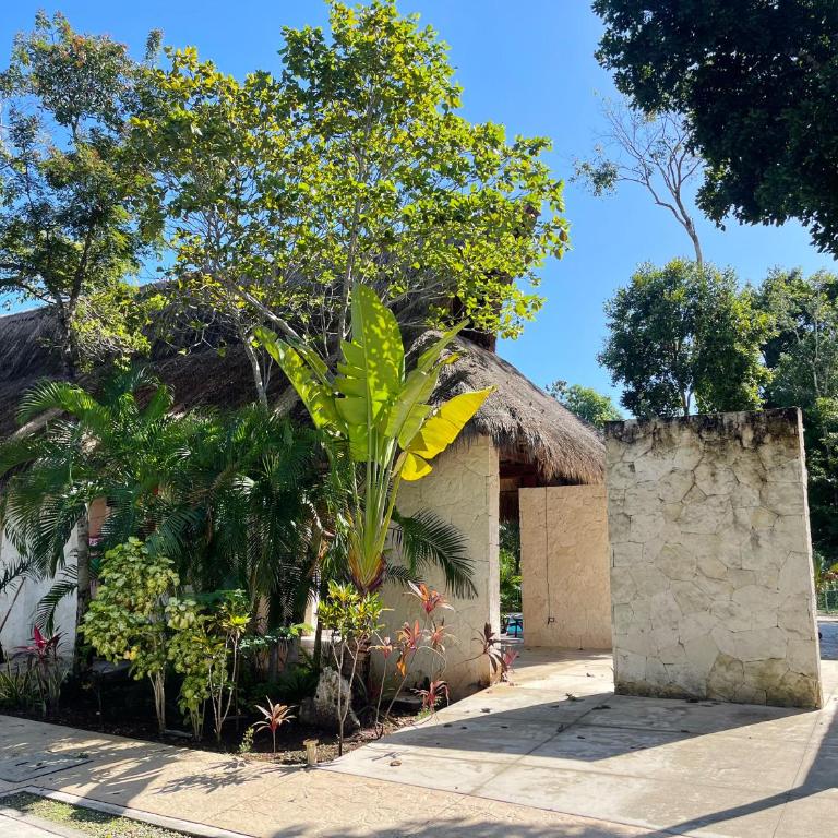 Villa Tikal - Villa - 100