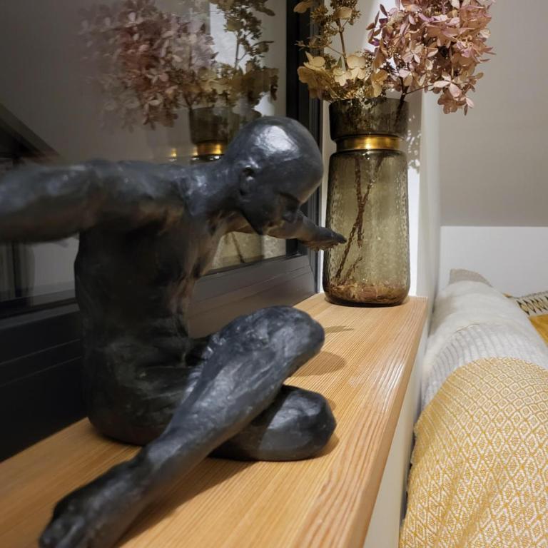 NEUERÖFFNUNG Angies Loft - Deluxe Apartment mit Dusche - 4