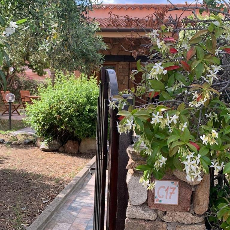 C17 Villaggio Asfodeli - Three-Bedroom Apartment - 16