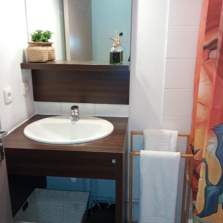 B010 Appartement Disneyland Paris France - Appartement 1 Chambre - 6