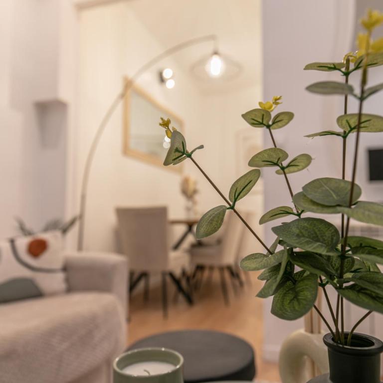 MBA - Courcelles - Splendide Appartement - Appartement 1 Chambre - 25
