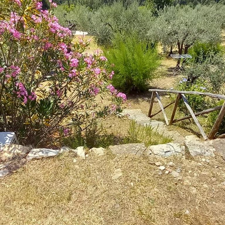Rondine appartamento confortevole con piscina tennis wifi e giardino - Appartamento con 1 Camera da Letto - 39