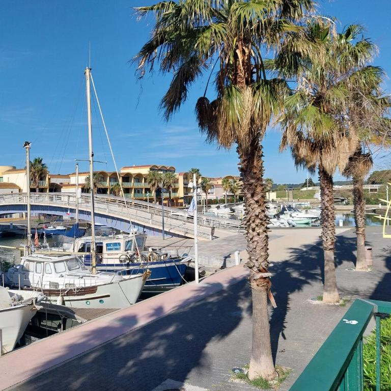 Le Quai401 YourHostHelper - Appartement 1 Chambre avec Terrasse - 2