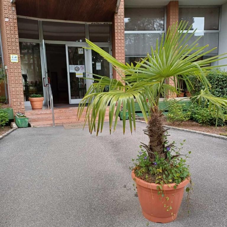 Il Nido - Euroresidence Lungolago Garda - Monolocale Standard - 30