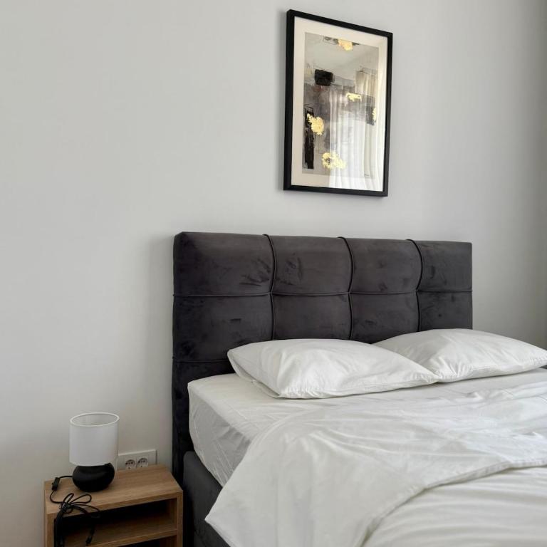 Crown Apartments - BW Arcadia - Two-Bedroom Apartment - 25