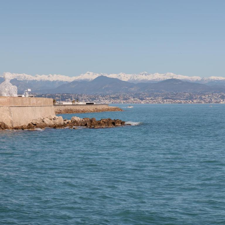 L'élégance à Antibes , central, 1 min de la plage - Appartement 1 Chambre - 15