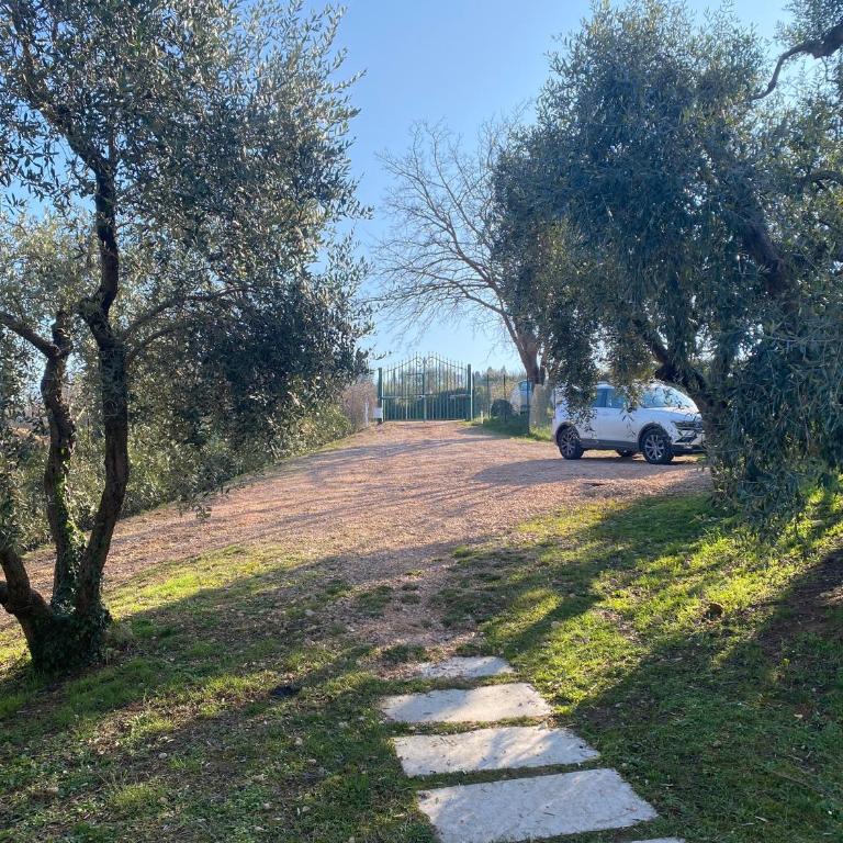 Residenza Cipressi e Olivi - VeronaInflat - Two-Bedroom Apartment - 25