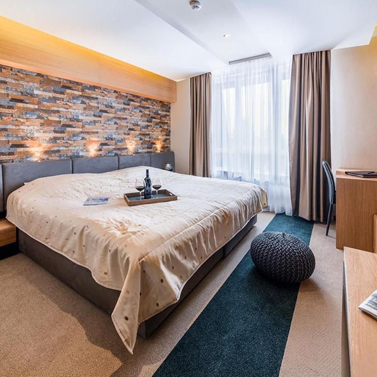 Hotel Kraljevi Čardaci - Double Room with Free Spa Access - 2