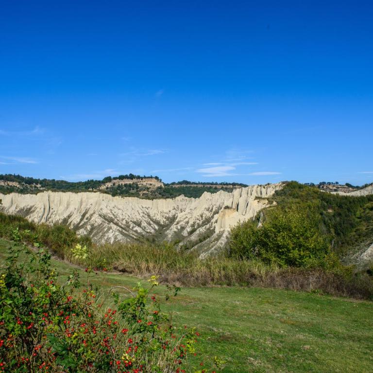 Villa I Calanchi Di Civita - Villa con Piscina Privata - 43