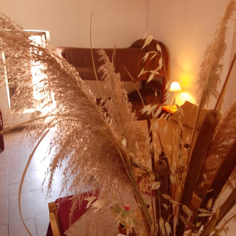 Phuyu - Apartamento de 1 dormitorio - 8