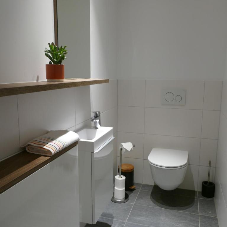 Grimmingpanorama mit Sauna by Salzkammergood Living - Appartement 1 Chambre - 15