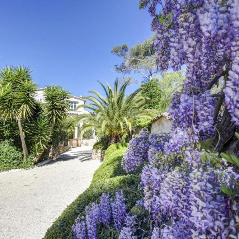 7 bedrooms Villa in St Paul de Vence with 5000sqm - Villa - 22