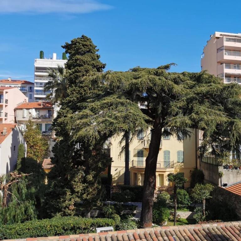 Nice 2 bedrooms Meynadier at 2 min BeachPalais - Apartamento de 2 dormitorios - 22