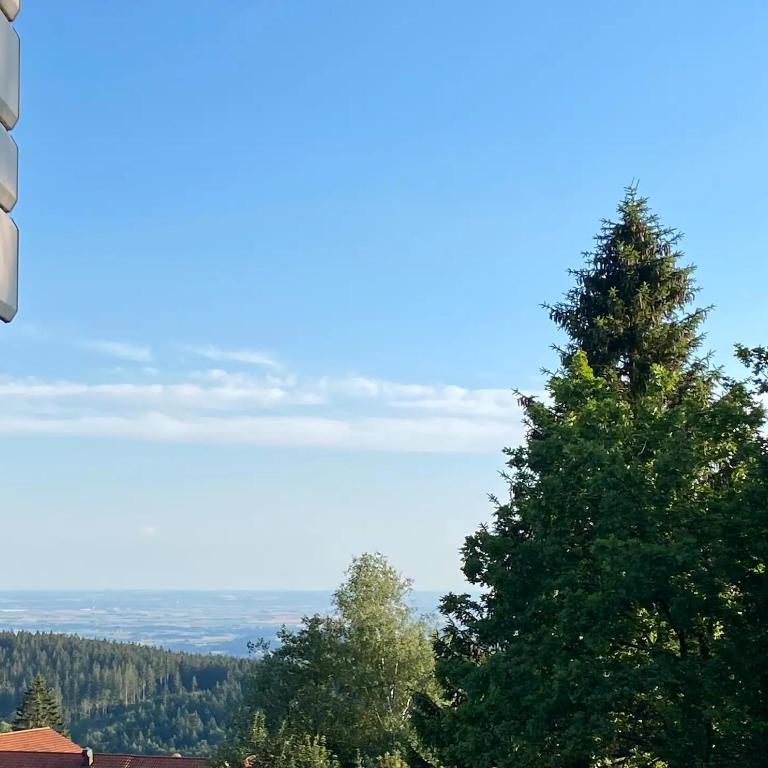 Ferienwohnung Bayerwald-Blick, Schwimmbad, Sauna, GästeCard Sankt Englmar - Apartment mit 1 Schlafzimmer - 17