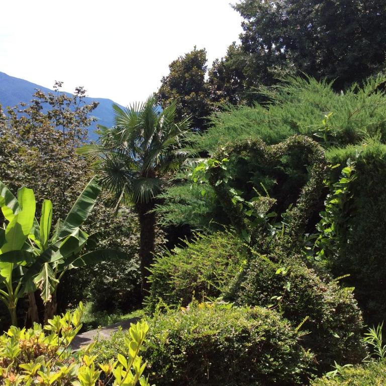 Bellaterra A by Fewotessin - Casa Vacanze - 30