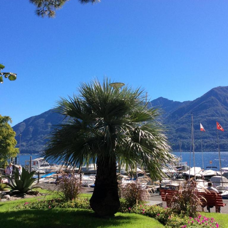 Bellaterra A by Fewotessin - Casa Vacanze - 36