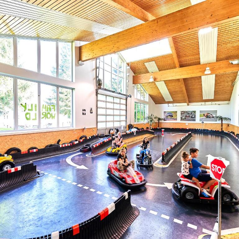 Ferienwohnung Bayerwald-Blick, Schwimmbad, Sauna, GästeCard Sankt Englmar - Apartment mit 1 Schlafzimmer - 43
