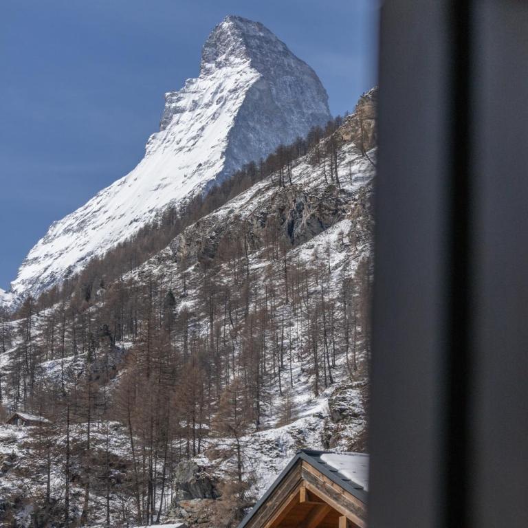 Hotel Bahnhof - Bett in einem Premium Schlafsaal für Männer und Frauen - 2