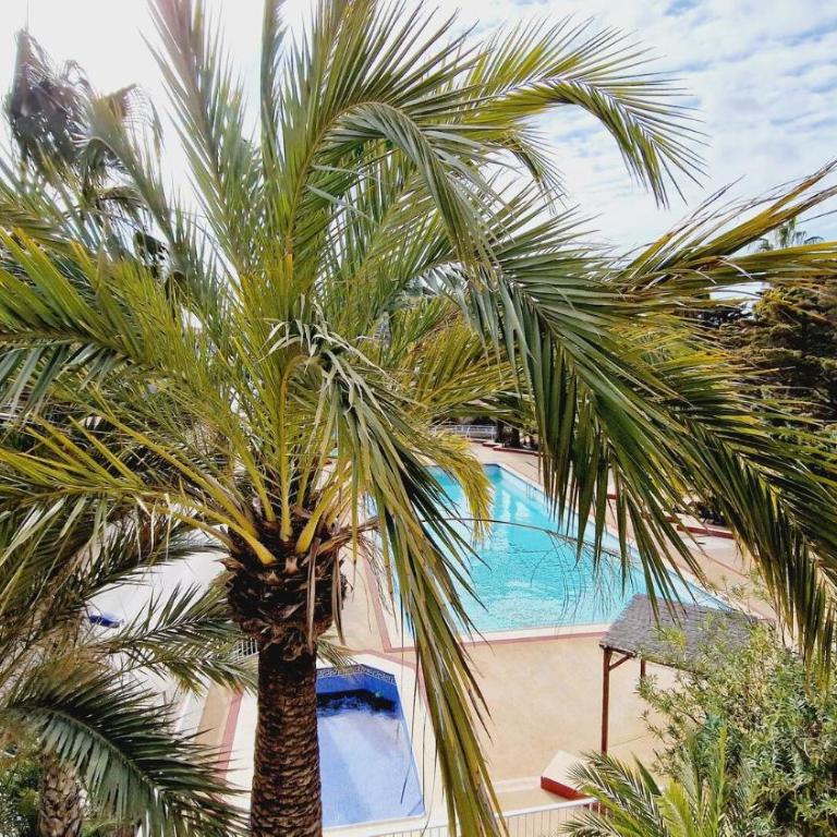 Inmovecos Acogedor apartamento con piscina y amplia vista - Apartamento de 1 dormitorio - 1