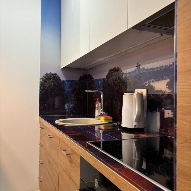 Exing Prime 65 New Belgrade - One-Bedroom Apartment - 3