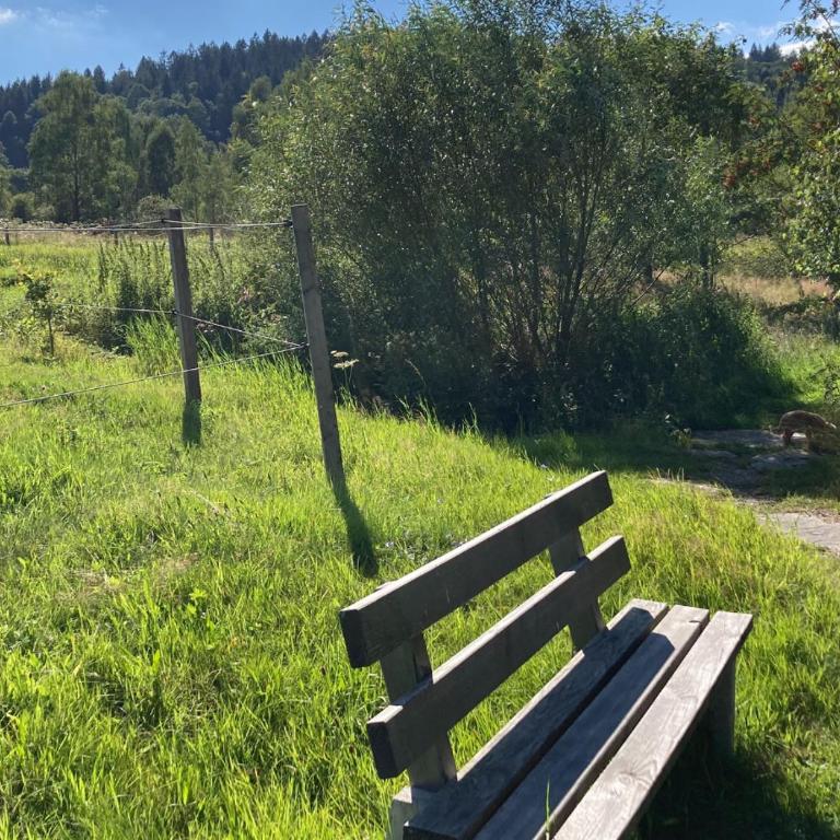 Fewo Turmfalke 2-Zimmer-Appartement mit Sauna und Schwimmbad - Apartment mit 1 Schlafzimmer - 74