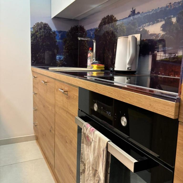Exing Prime 65 New Belgrade - One-Bedroom Apartment - 11