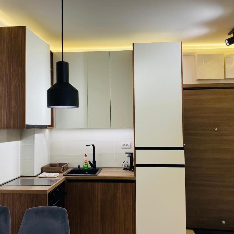 Magnet 48 Zlatibor - Apartman sa 1 Spavaćom Sobom - 24