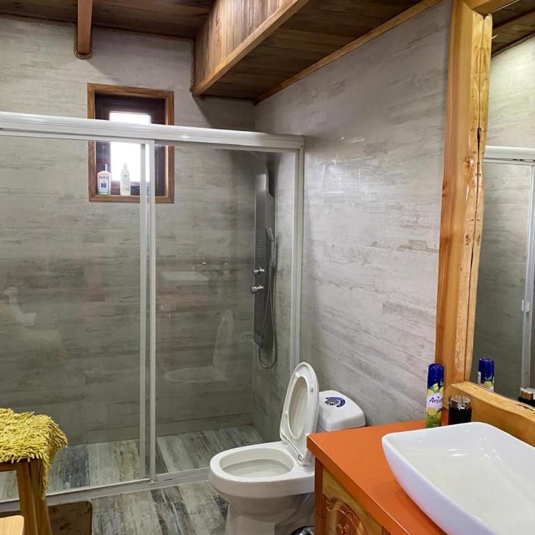 Casa Villarrica - Casa con 1 dormitorio - 17