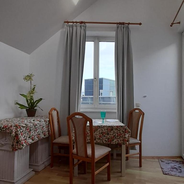 Appartements Donaublick - Apartment - 29