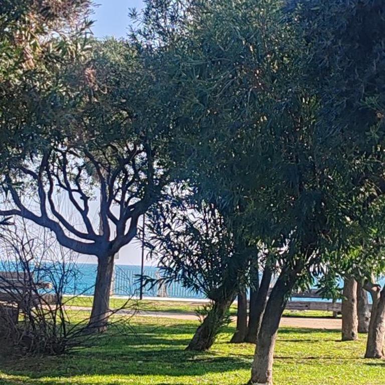 Casetta sul mare - Two-Bedroom House - 66