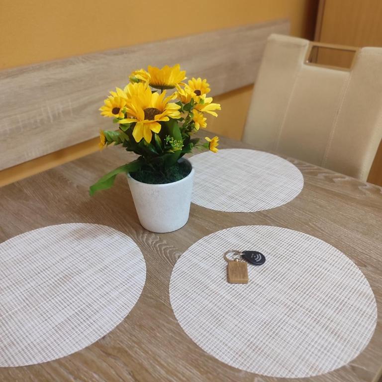 Apartman JELAČIK - One-Bedroom Apartment - 11