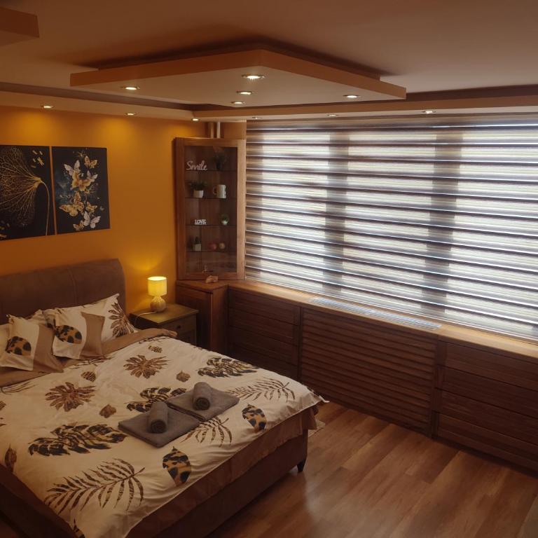 Apartman JELAČIK - One-Bedroom Apartment - 2