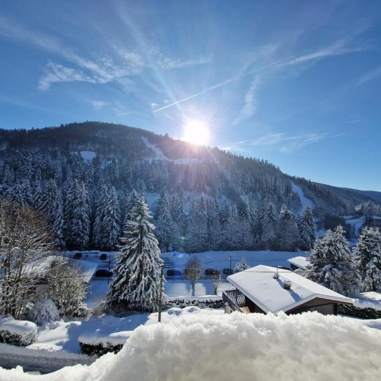La Bresse Nature and Glisse - One-Bedroom Apartment - 15