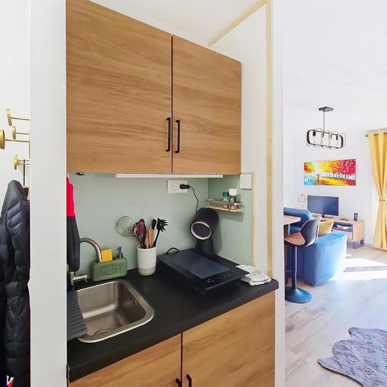 La Bresse Nature and Glisse - One-Bedroom Apartment - 9