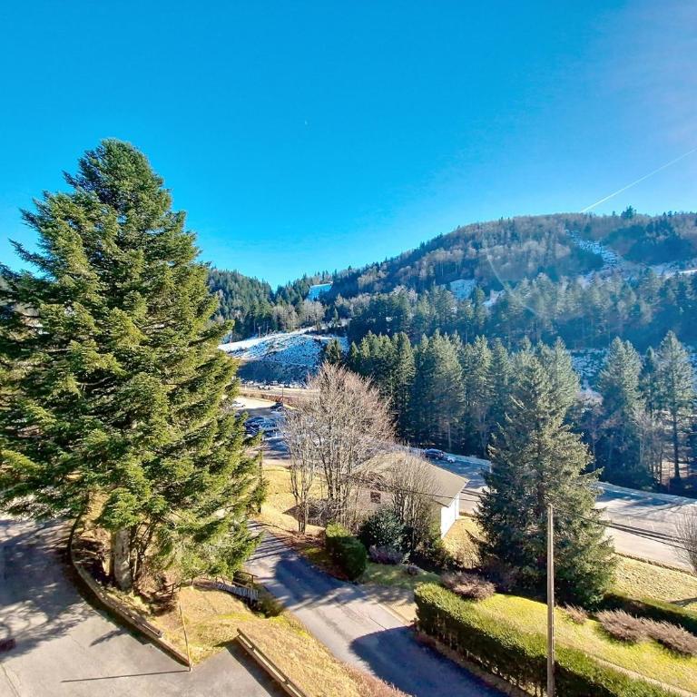 La Bresse Nature and Glisse - One-Bedroom Apartment - 13