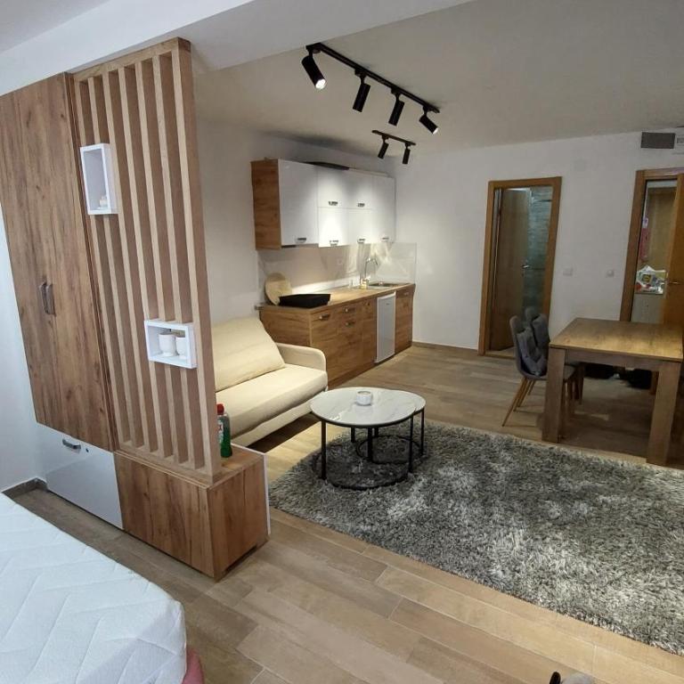 Apartman Mećavnik Kopaonik - Apartment - 13