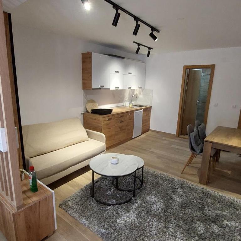 Apartman Mećavnik Kopaonik - Apartment - 15