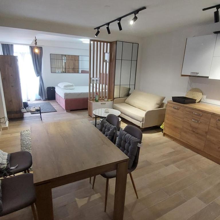 Apartman Mećavnik Kopaonik - Apartment - 21