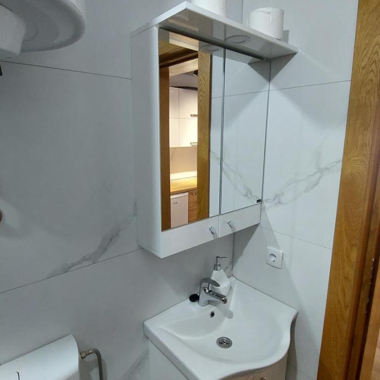 Apartman Mećavnik Kopaonik - Apartment - 24