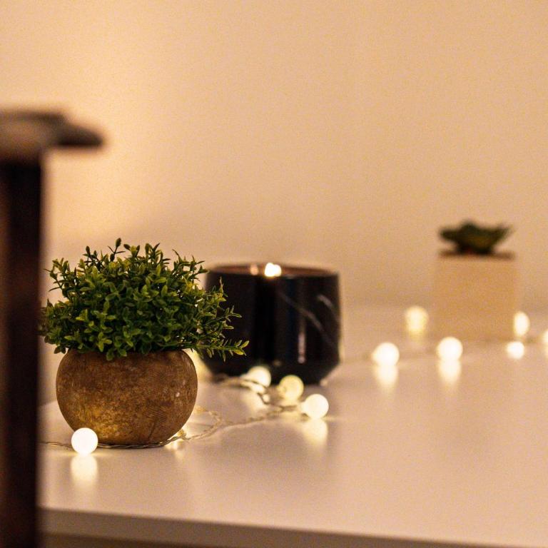 Charme et confort au coeur d'Angers - Appartement 2 Chambres - 13