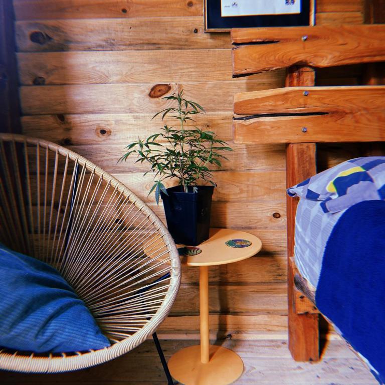 Mar Guest House - Queen Room - 3