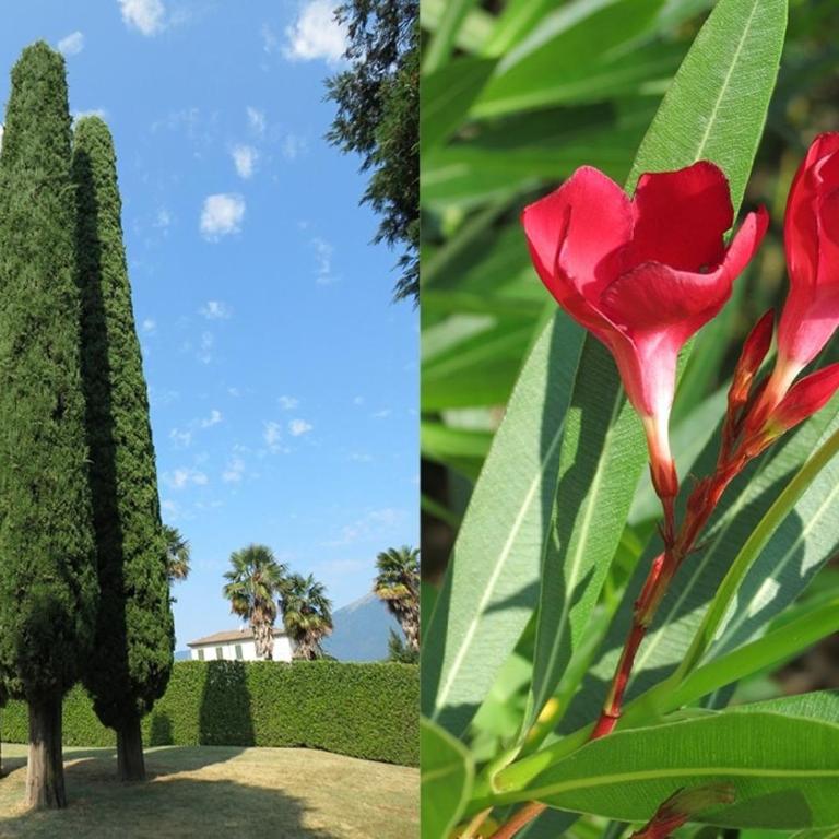 Historic Villa Morosini - Appartamento con 1 Camera da Letto - 39