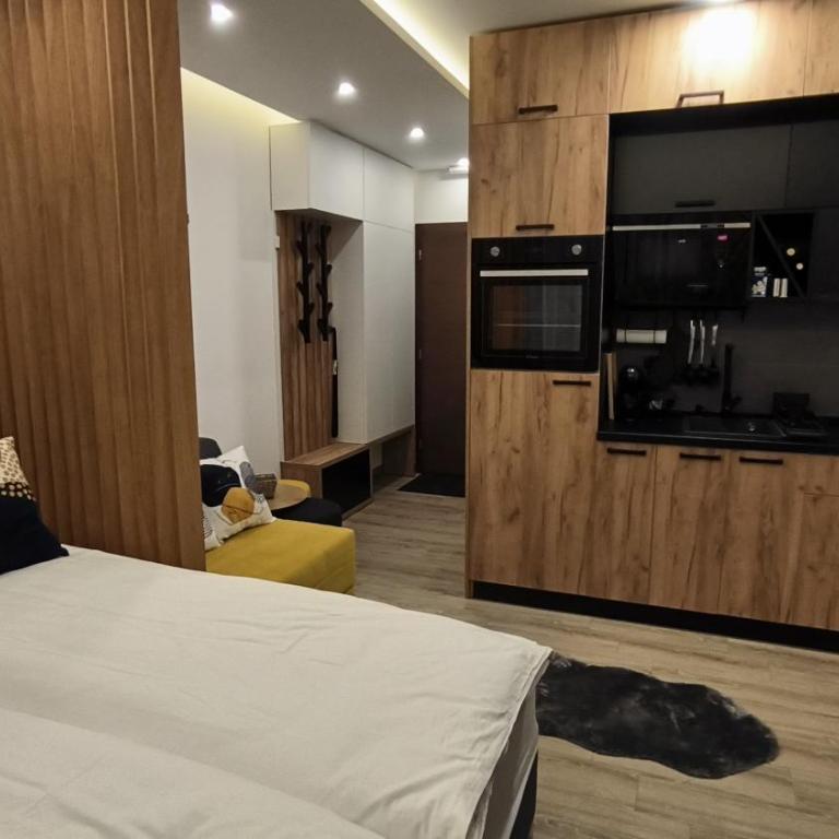 Kopaonik, Apartman FORELIA, Residence hill - Deluxe Studio - 4