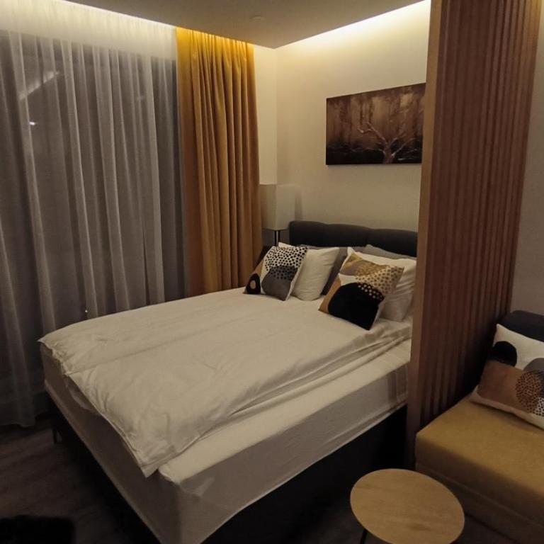 Kopaonik, Apartman FORELIA, Residence hill - Deluxe Studio - 9